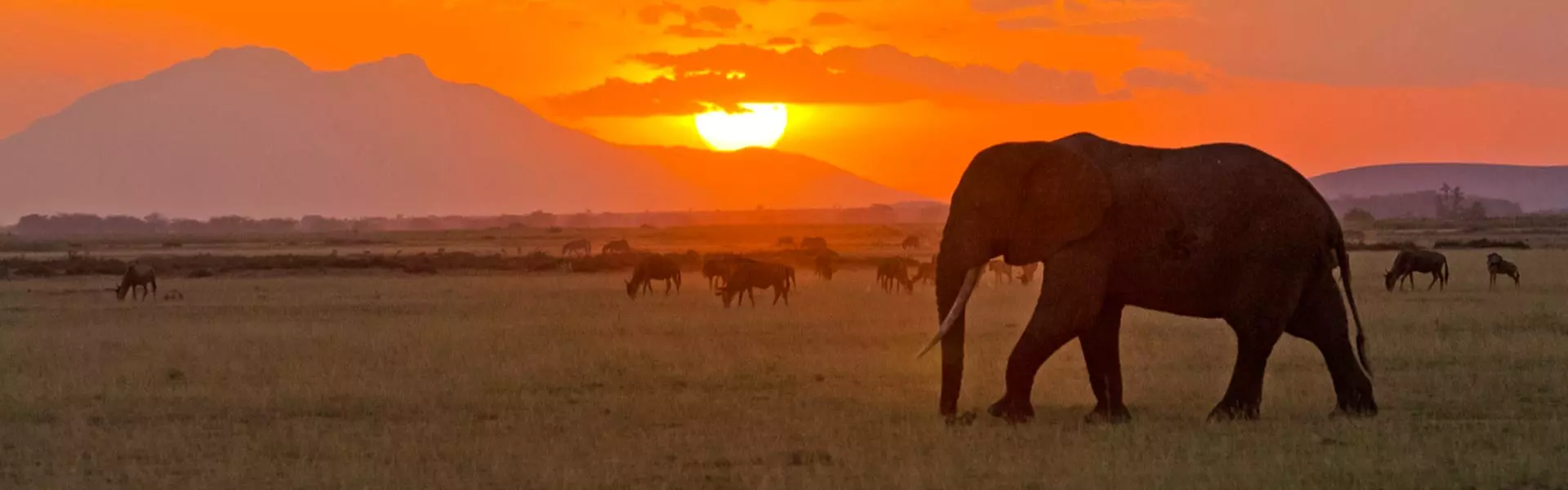 The view of sunset in Serengeti national park with wilderness.