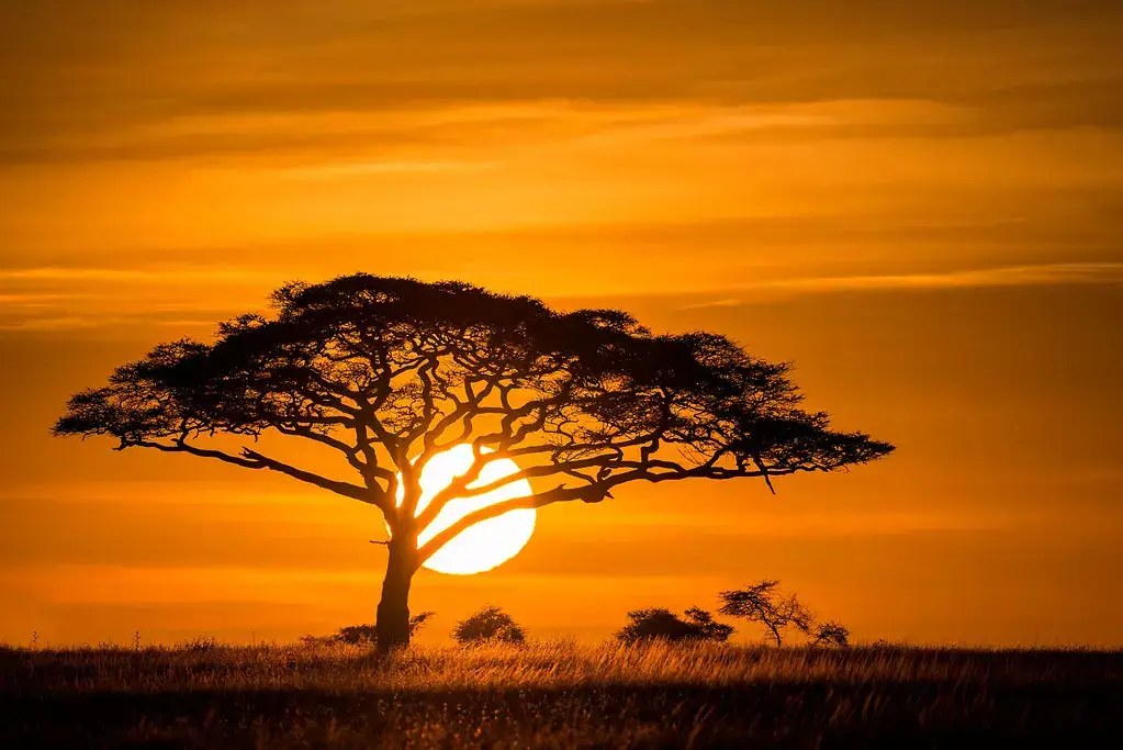 Great sunset view from Arusha national park
