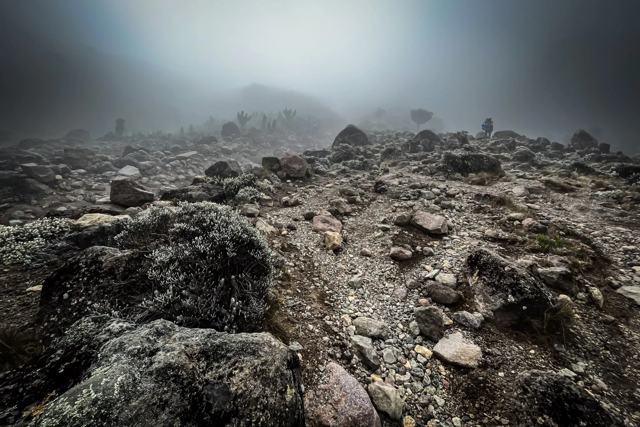 Early morning foggy view in Kilimanjaro trek