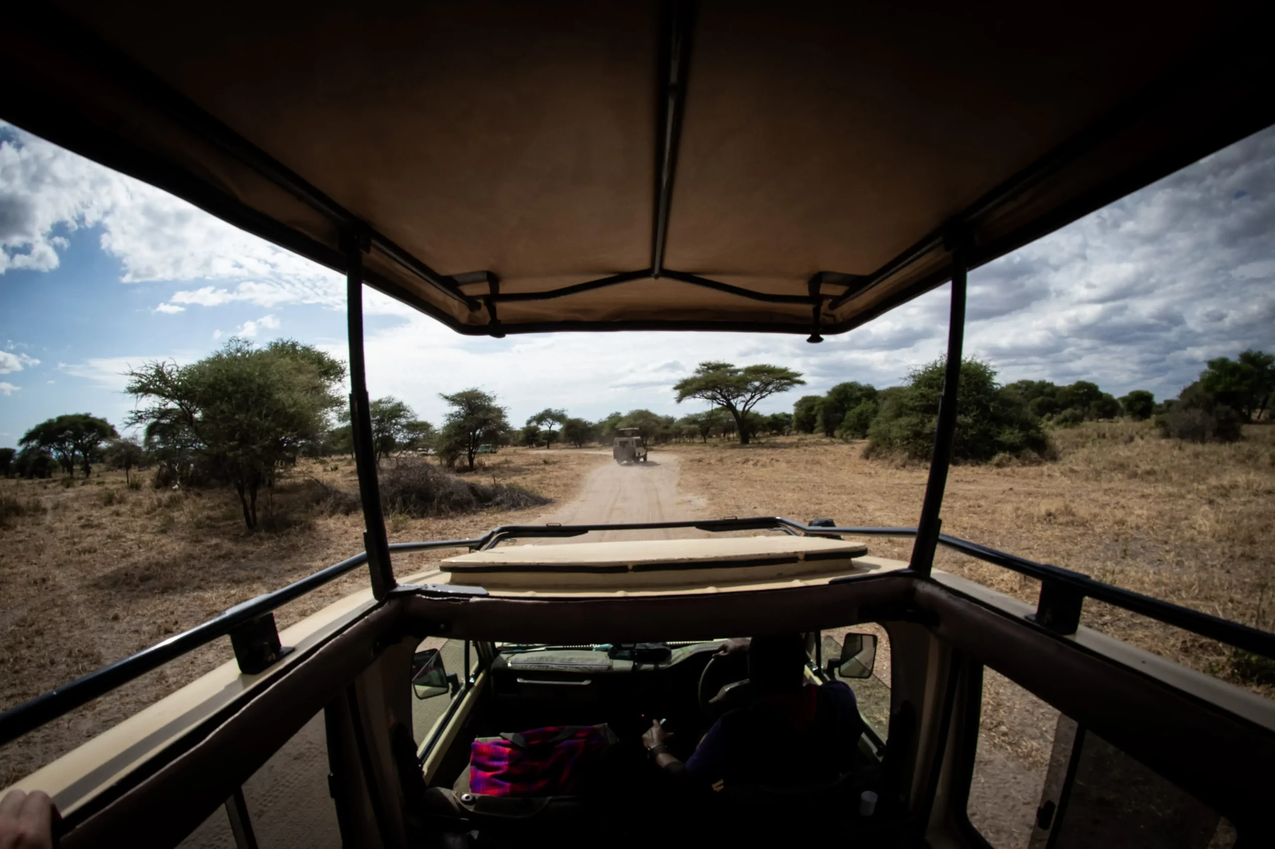 The front view from safari vehicle's drivers POV