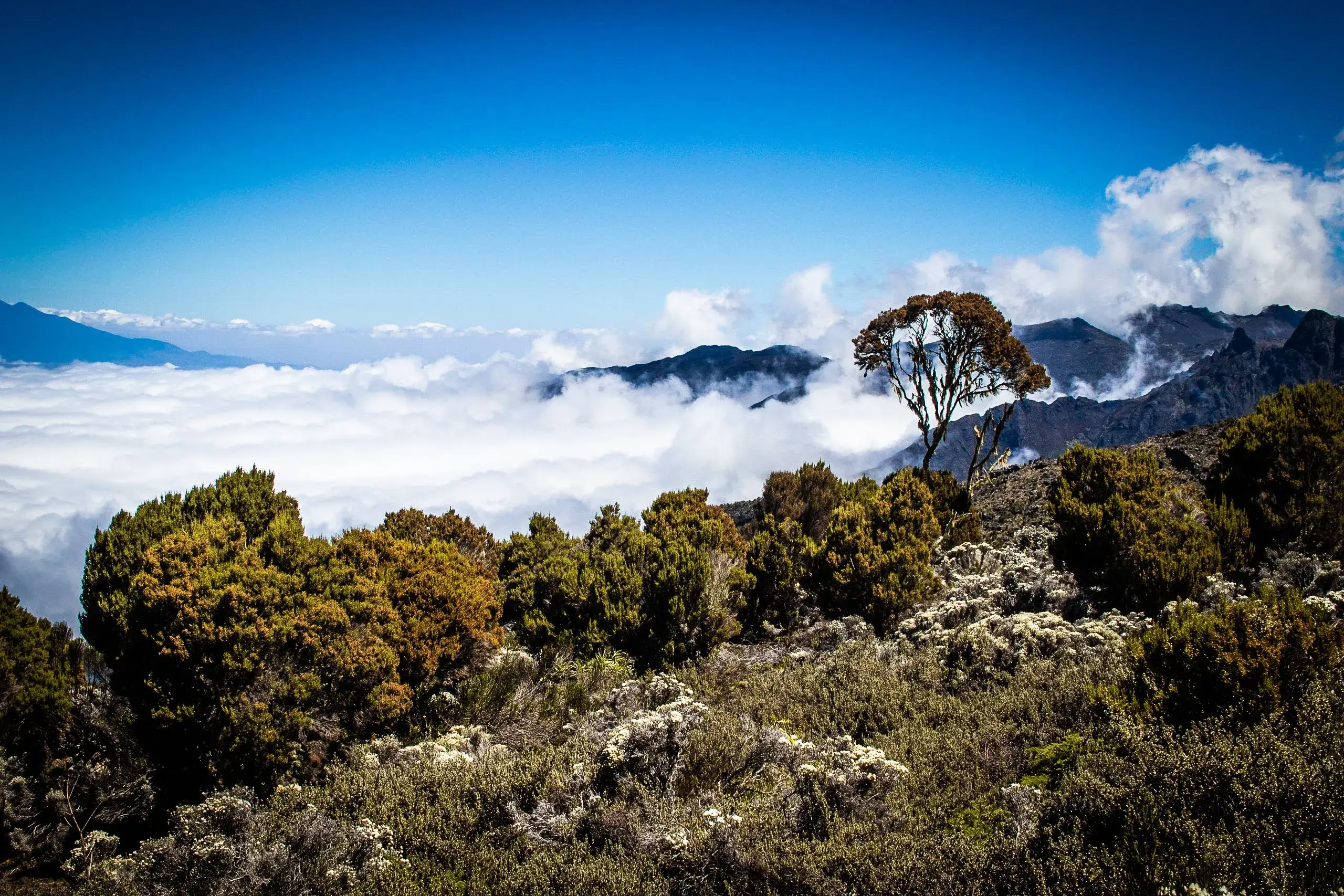 the magnificent view with full of clouds while trekking Kilimanjaro
