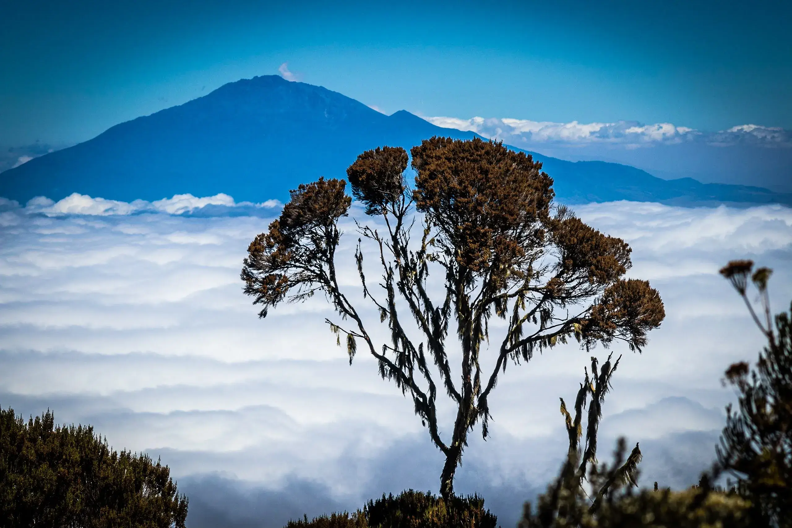 the magnificent view with full of clouds while trekking Kilimanjaro