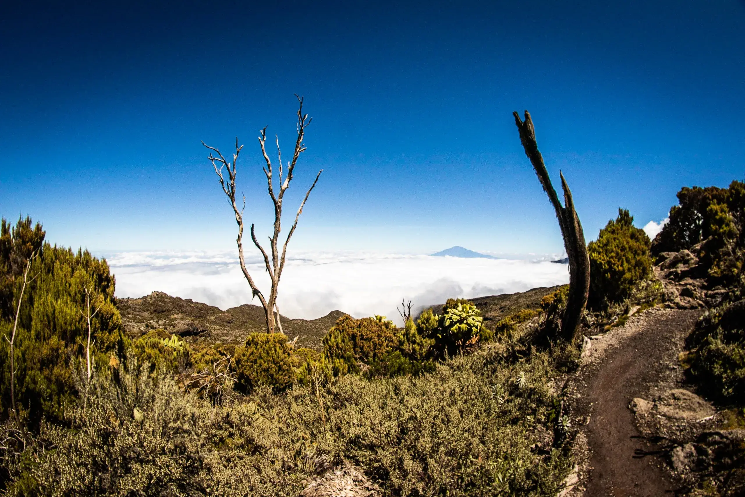 the magnificent view while trekking Kilimanjaro