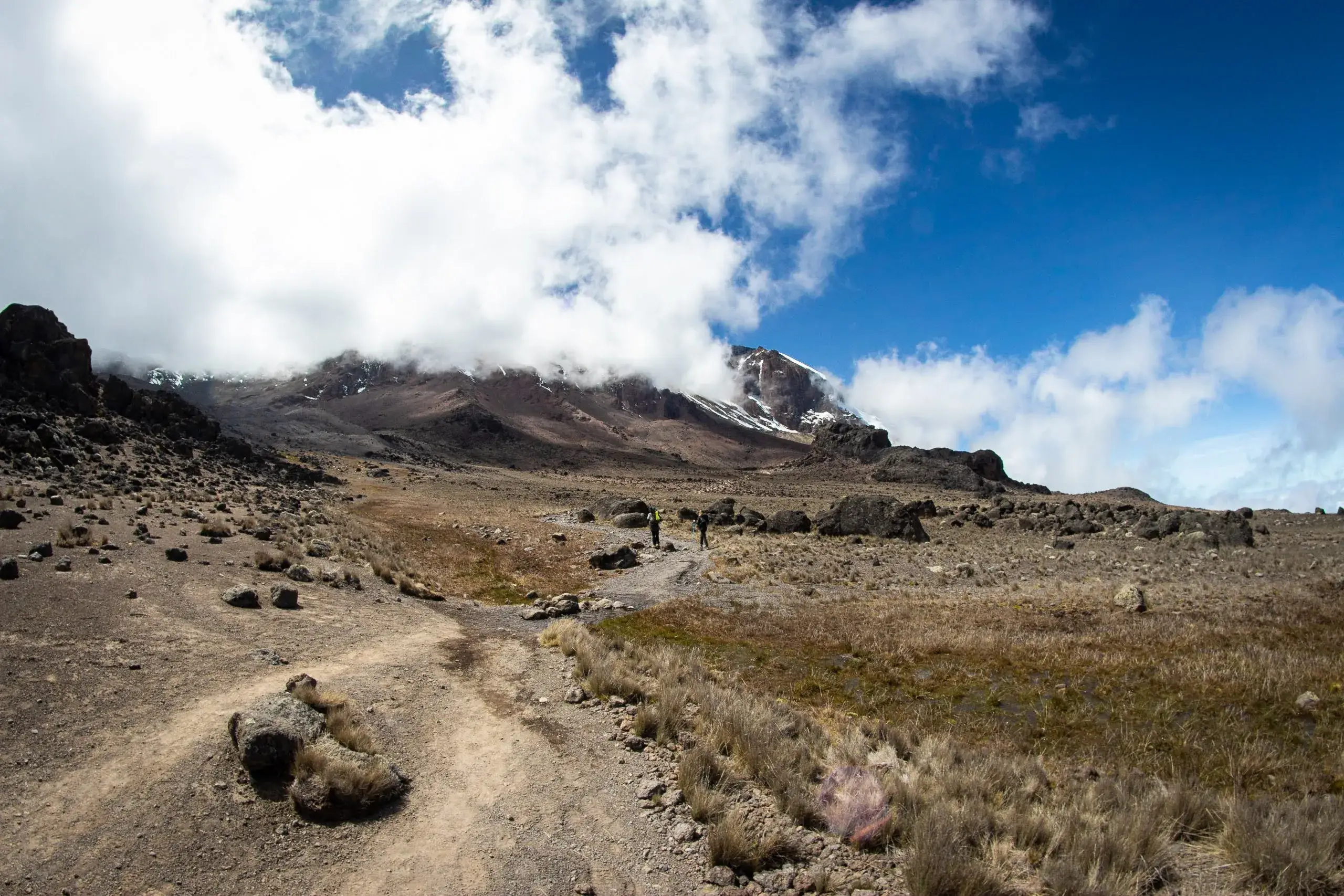 the magnificent view of Kilimanjaro while trekking