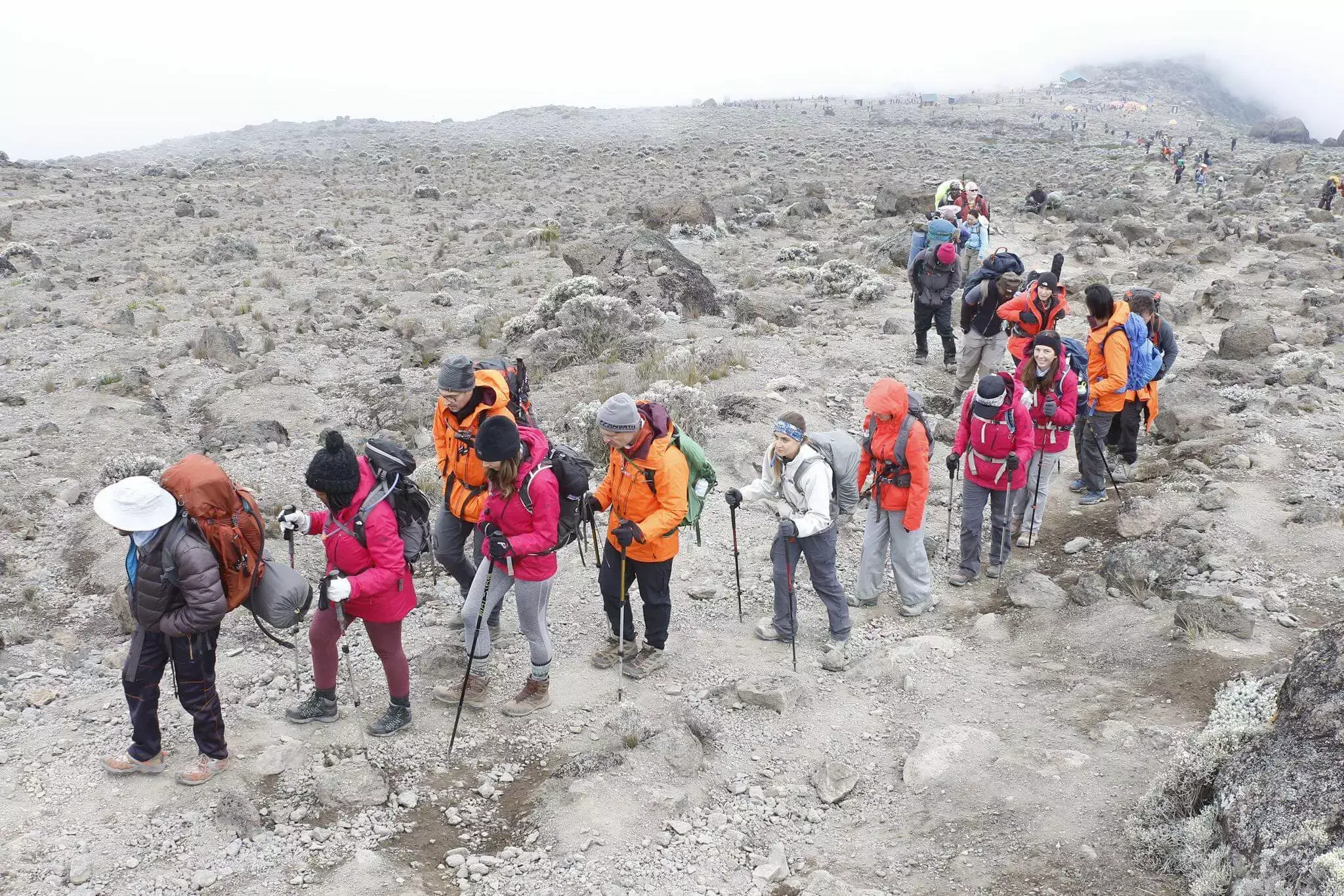 a group of hikers climbing Kilimanjaro through lemosho route