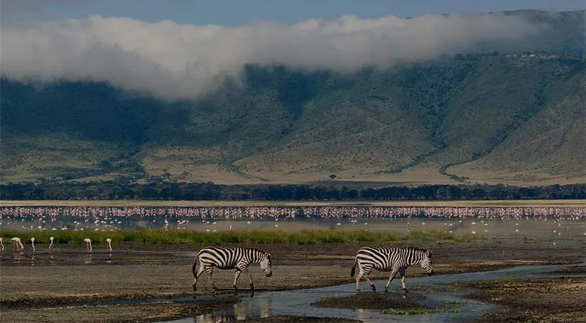Beautiful view of wilderness in ngorongoro
