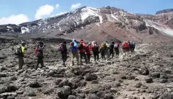 A Group of tourists trekking Kilimanjaro from Machame route