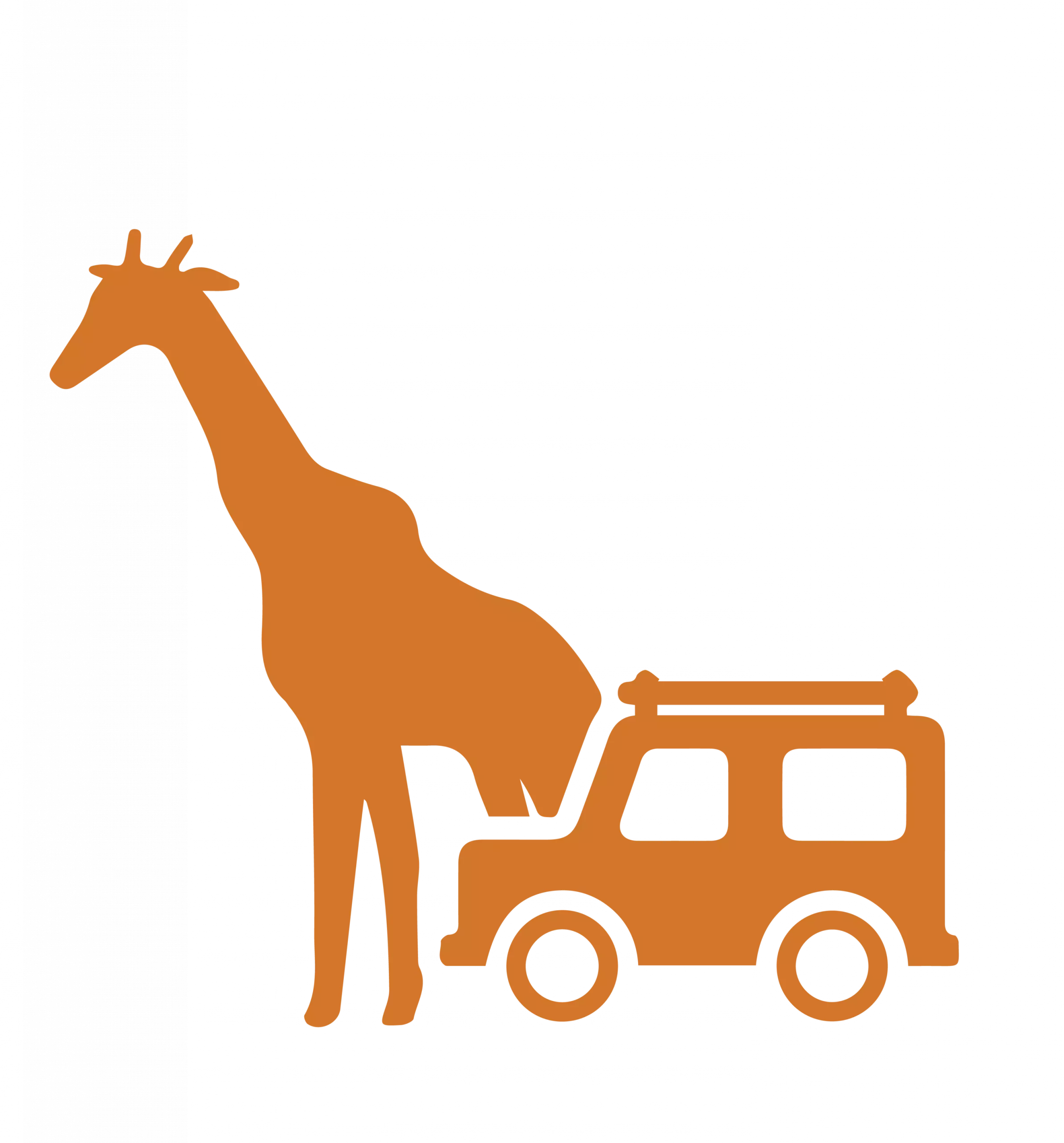 Giraffe with safari jeep in wilderness