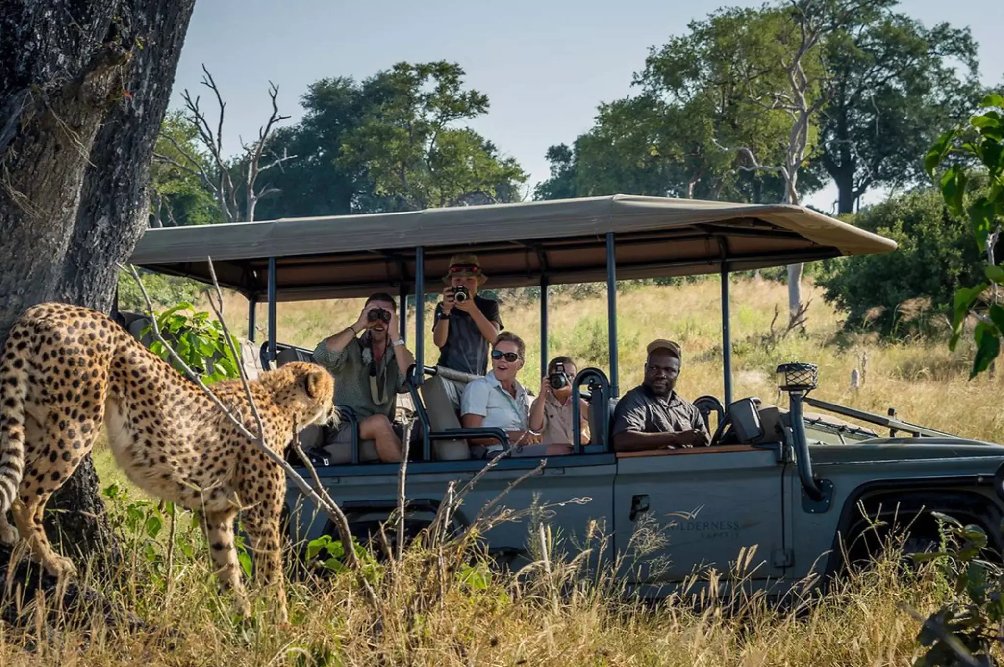 a group of travelers capturing an image of a cheetah from a safari vehicle
