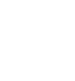 A person travelling with a stick