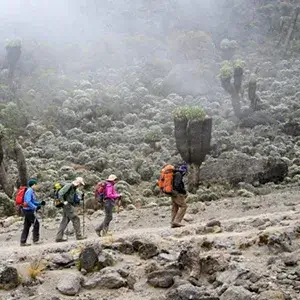 Kilimanjaro trekking via Lemosho Route