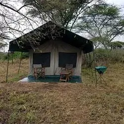 serengeti halisi camp